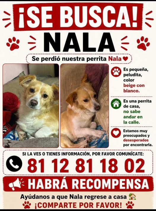 Nala