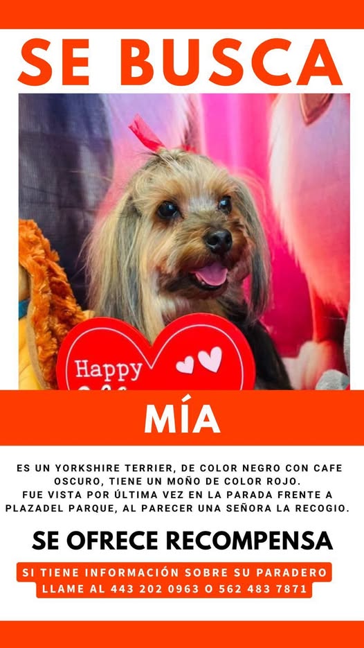 MÍA