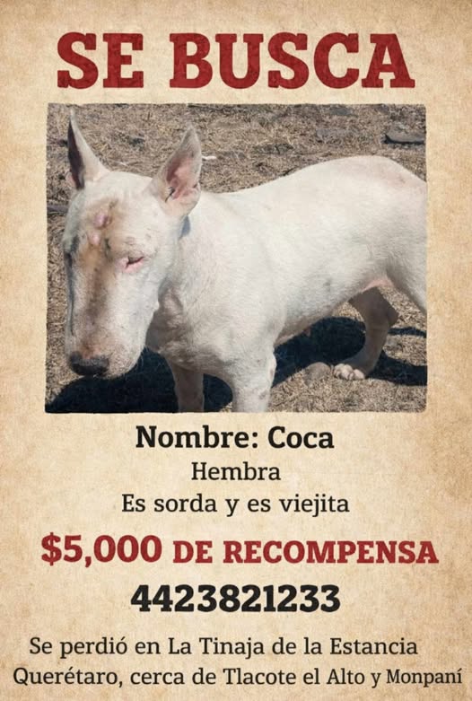Coca