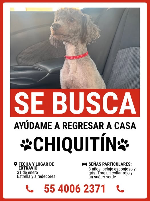 CHIQUITÍN