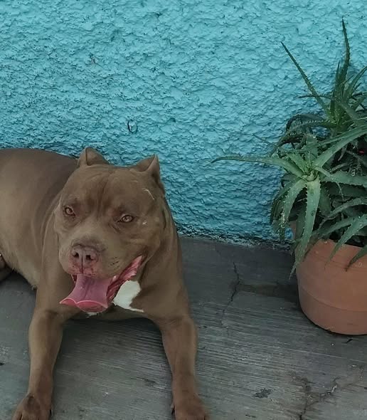Zeus