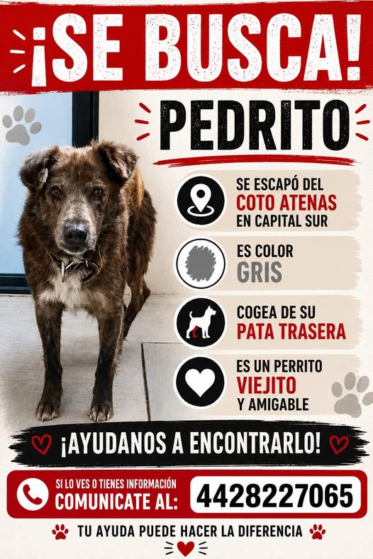 Pedrito