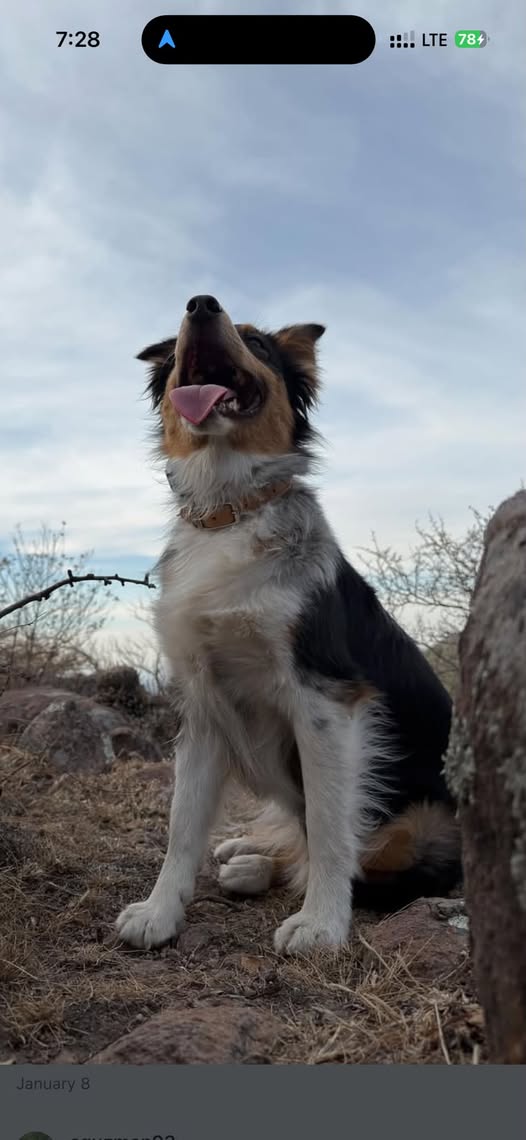 mar